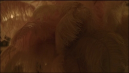 Made In Heaven - Season 02 Episode 04